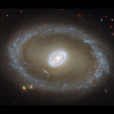 Seyfert II -galaksi NGC 3081 - kuva: NASA ja ESA