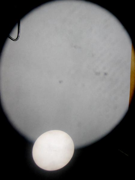 Avoimet ovet Tuorlan observatoriolla 15/5/2004
