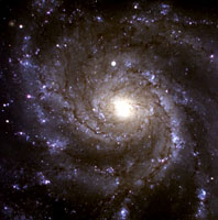 M101